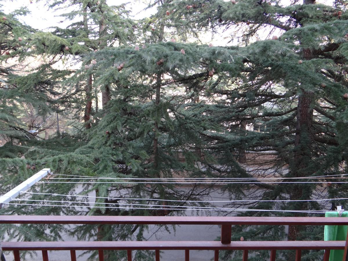 Dilijan Apartment Zewnętrze zdjęcie